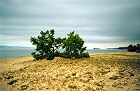 Песчаные дюны Сарайского залива. Остров Ольхон.