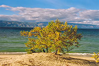 Озеро Байкал. Осень на острове Ольхон. Песчаный пляж Сарайского залива.