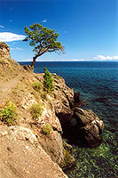 Baikal's shore. Pribaikalskiy National Park.
