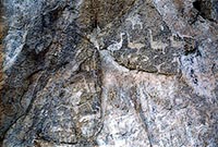 Baikal. Prehistoric rock paintings of Sagan–Zaba. Fragment.