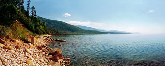 Мsc Фролова Мsc Фролова