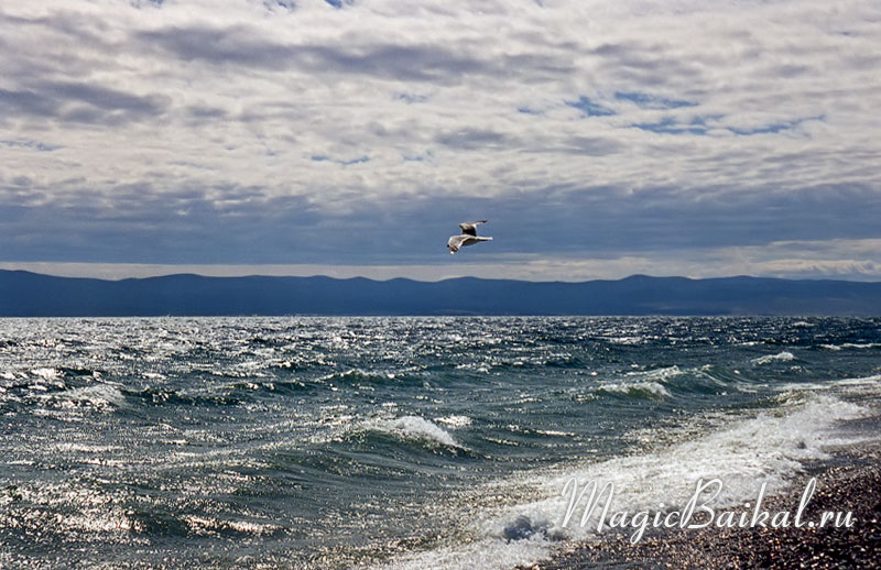 http://www.magicbaikal.ru/album/smallsea/images/lake-baikal-l63f26.jpg