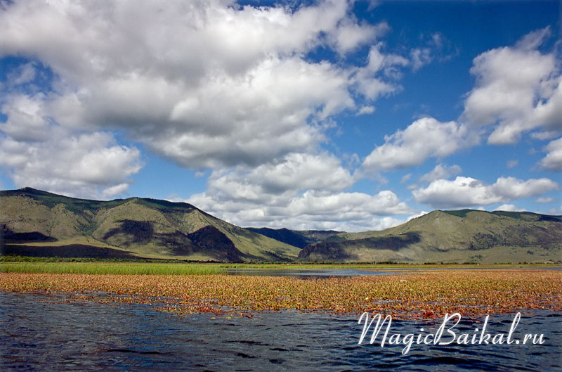 http://www.magicbaikal.ru/album/smallsea/images/lake-baikal-l65f10.jpg