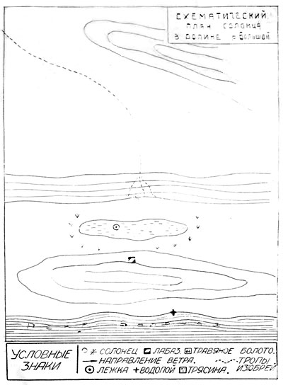 Схематический план солонца в долине реки Большой