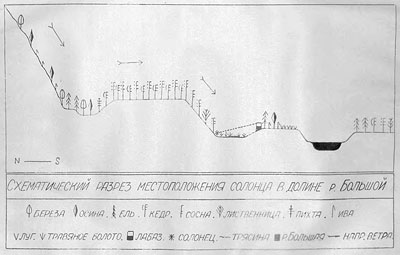 Схематический разрез местоположения солонца в долине реки Большой
