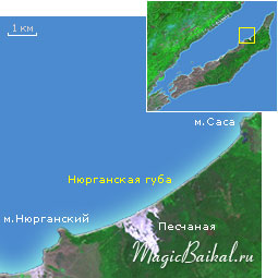 Нюрганская губа Нюрганская губа