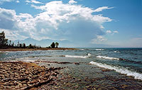 Таркулик Таркулик